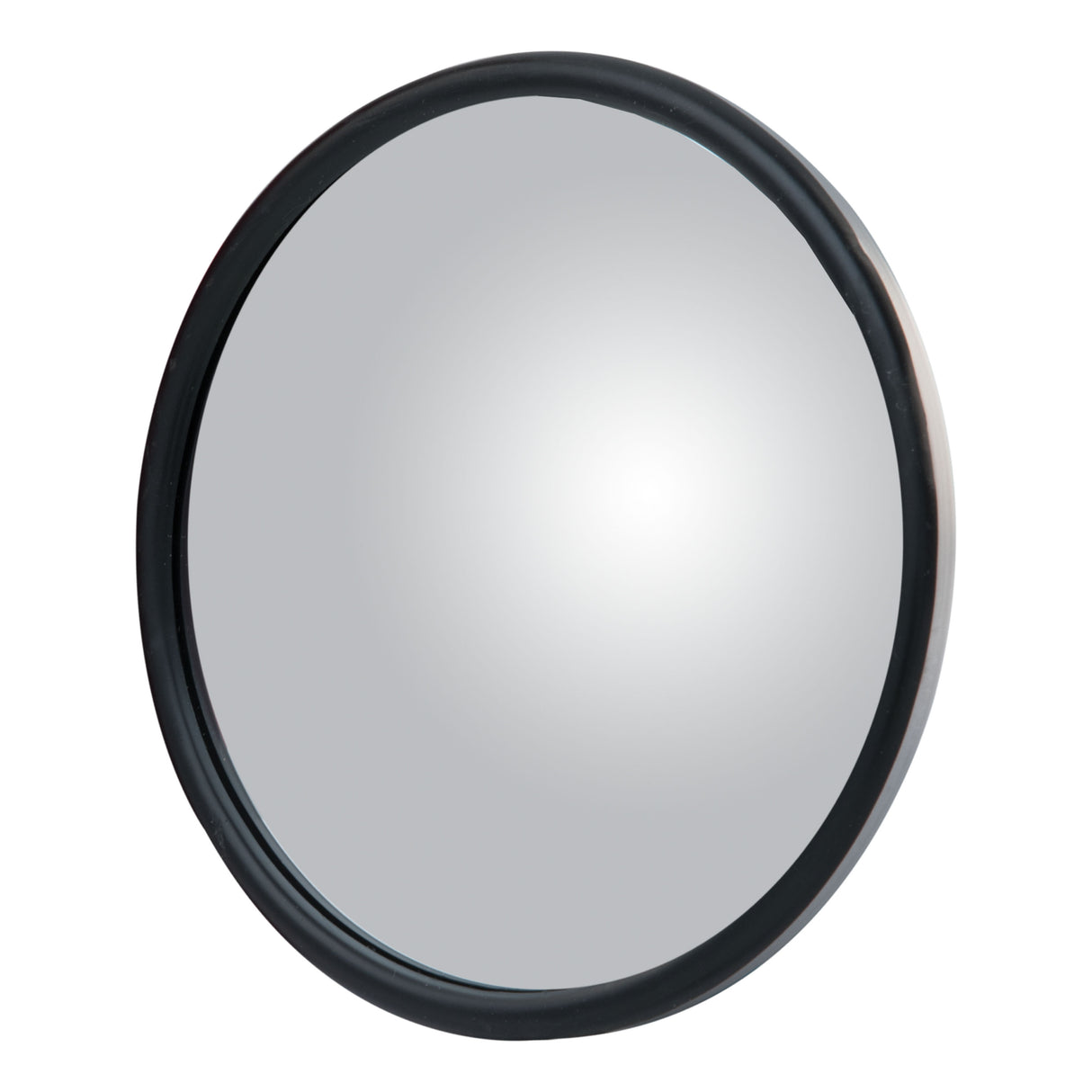 Mirror Head Convex 6" Stainless Center-Mount