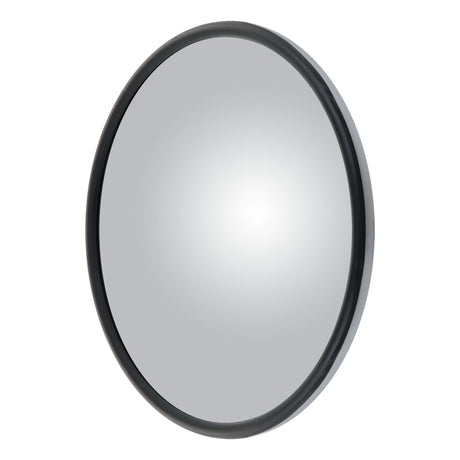 Mirror Head Convex Offset-Mount 8" Stainless Steel