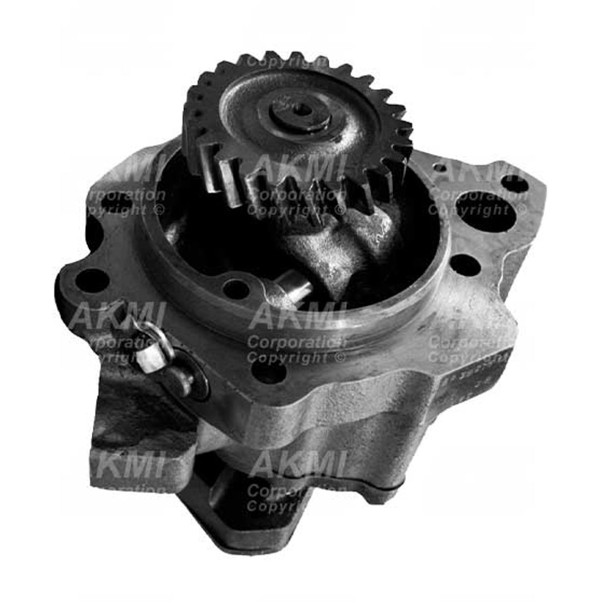 Cummins NT855, Big Cam Oil Pump 3821572, 3821575