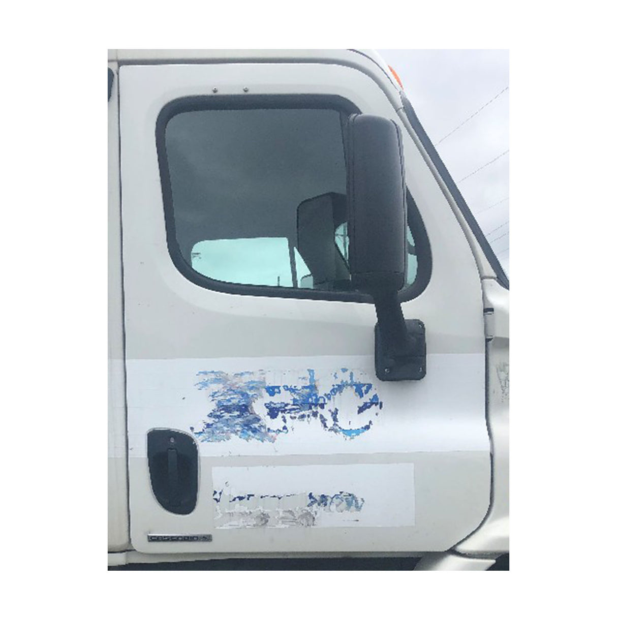 Freightliner Cascadia Door Used