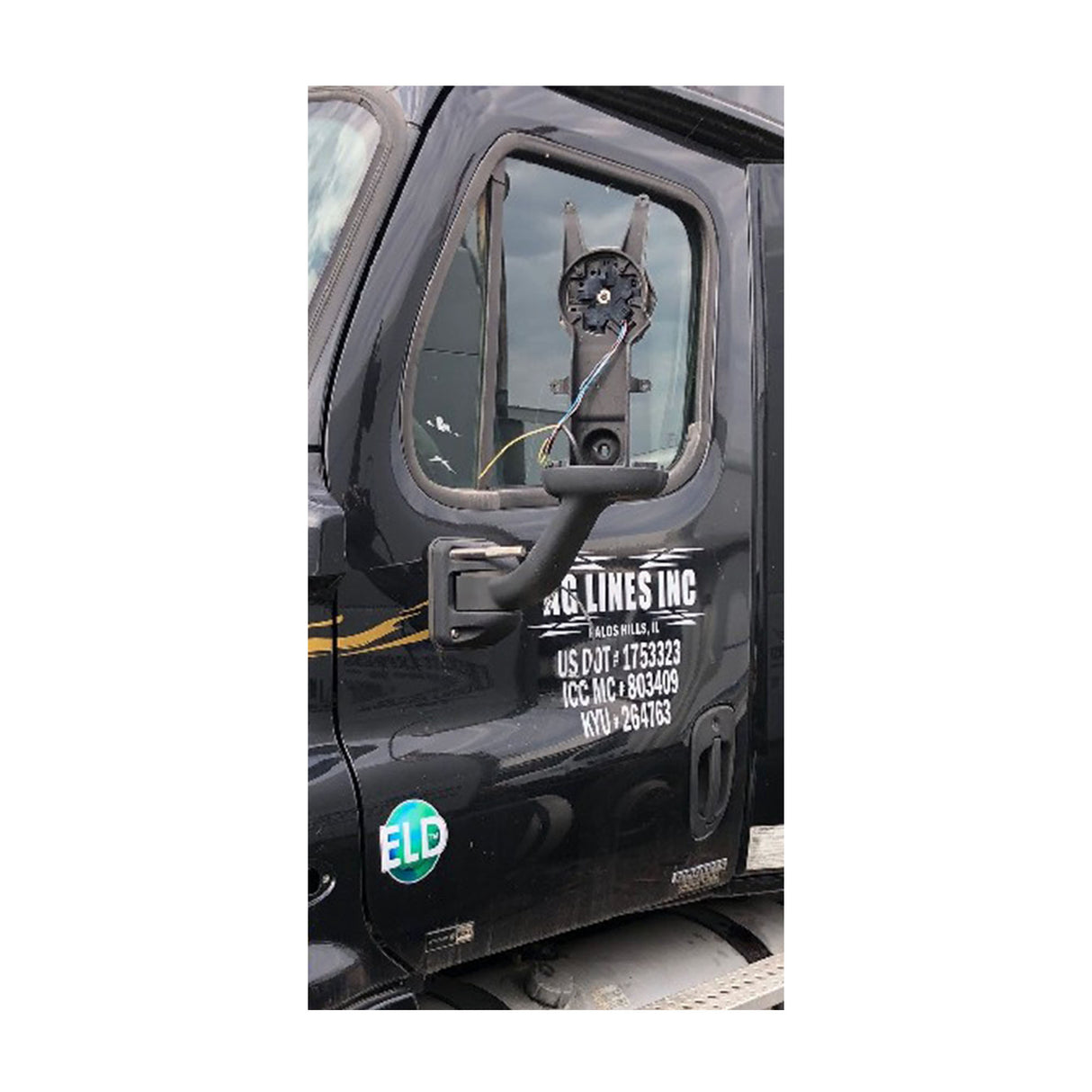 Freightliner Cascadia 125 Door Used