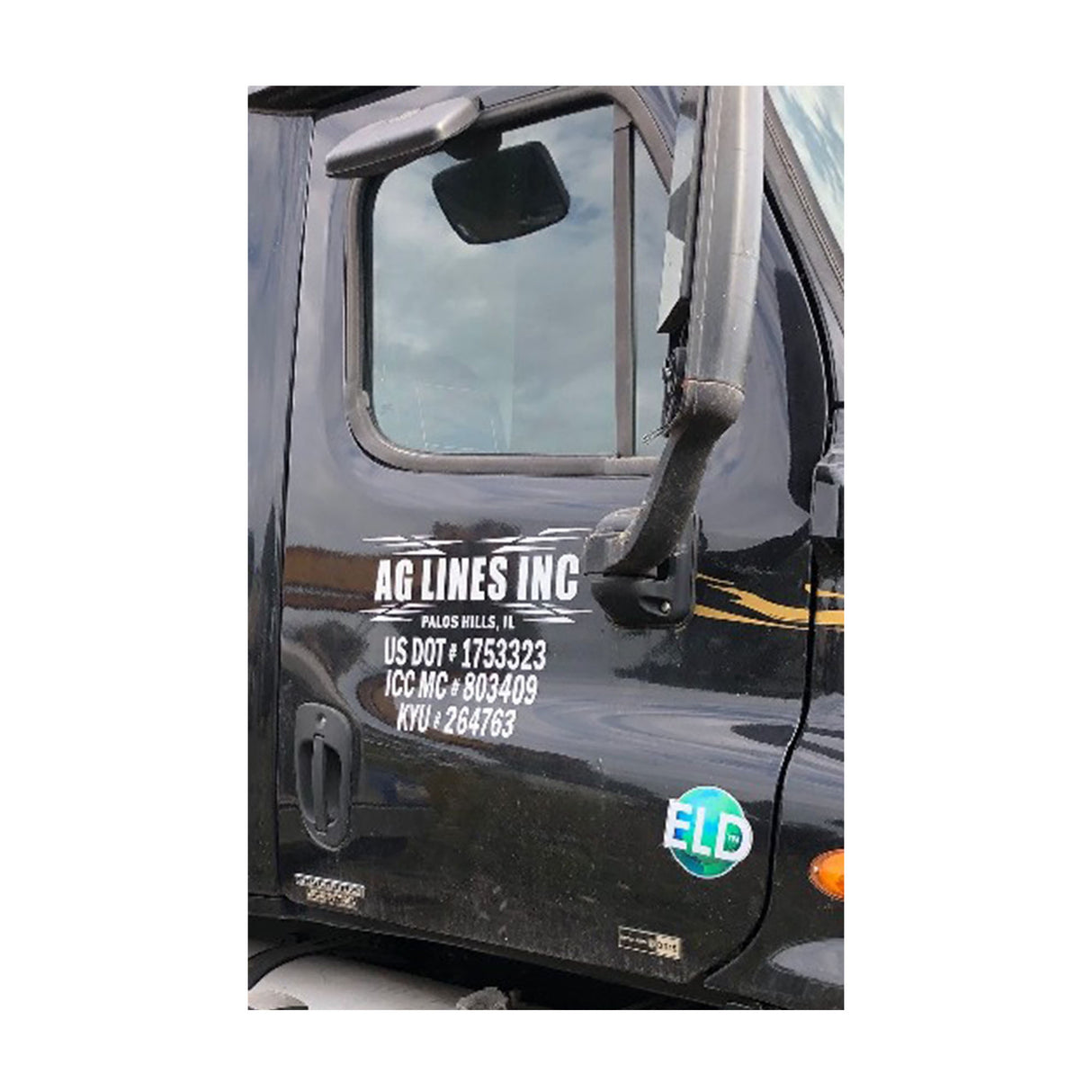 Freightliner Cascadia 125 Door Passenger Side Used