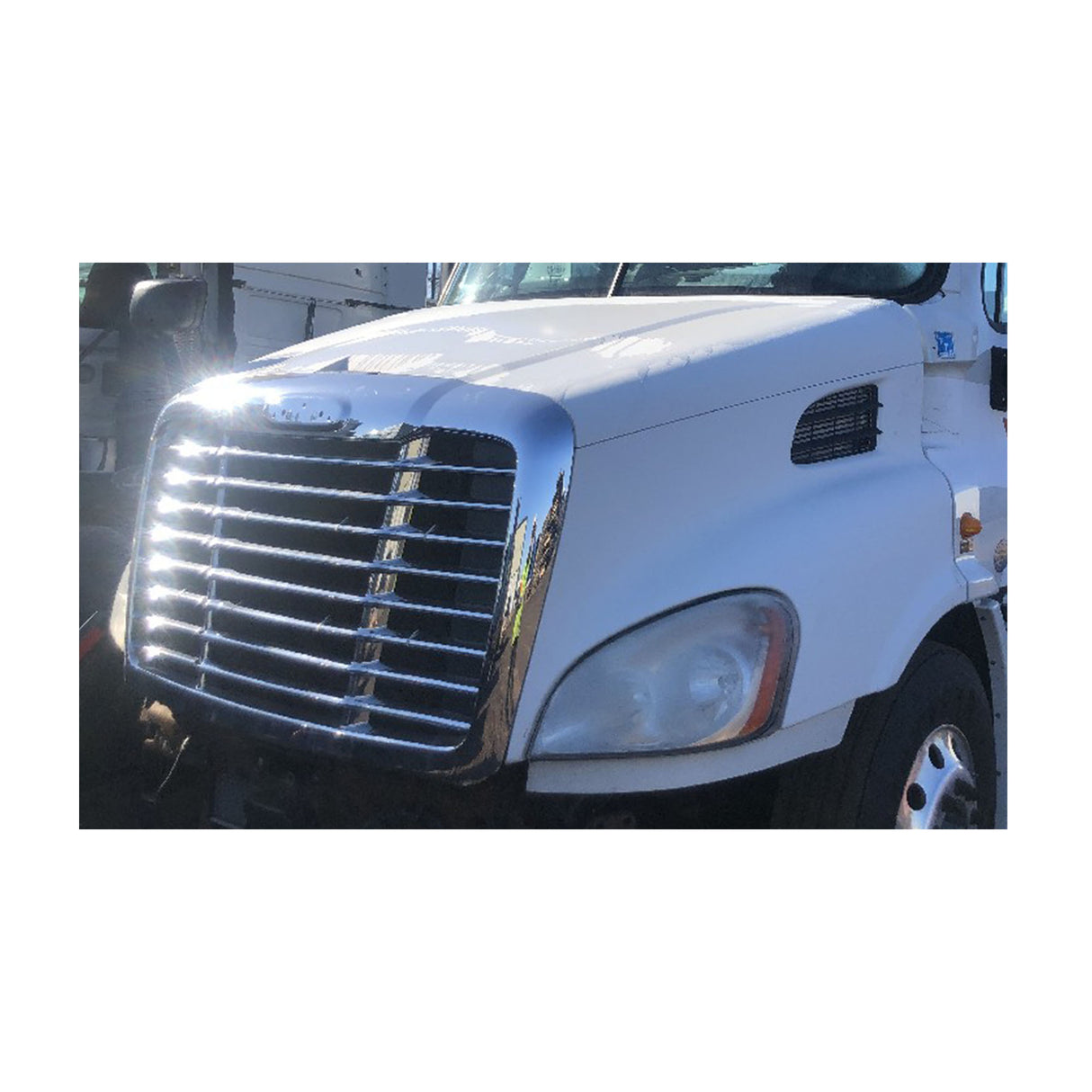 Freightliner Cascadia 113 Hood Used