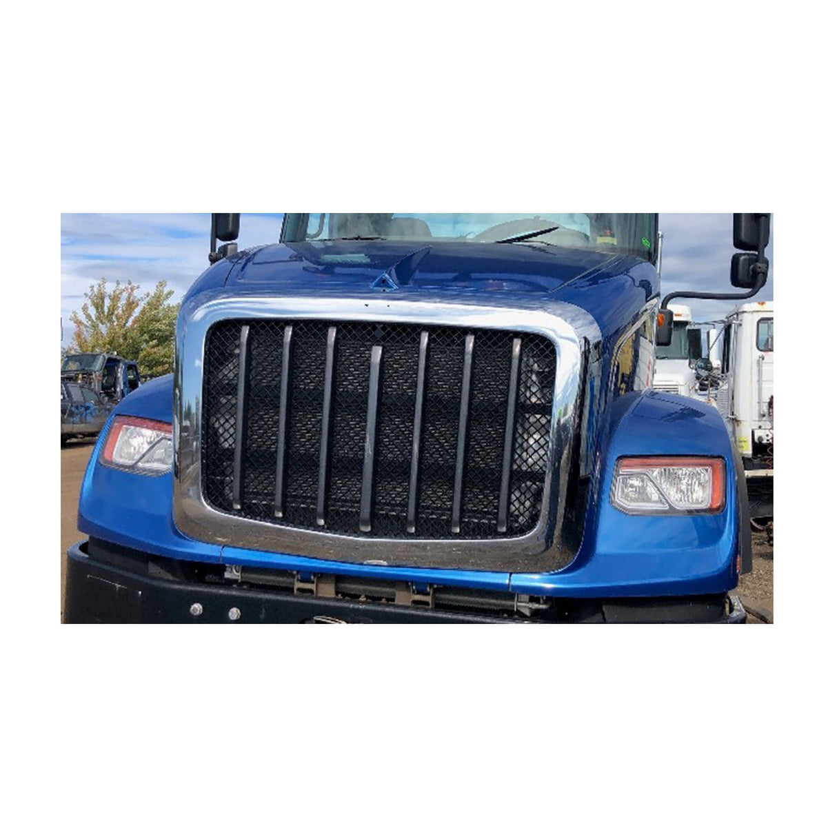 International HX615 Hood Used