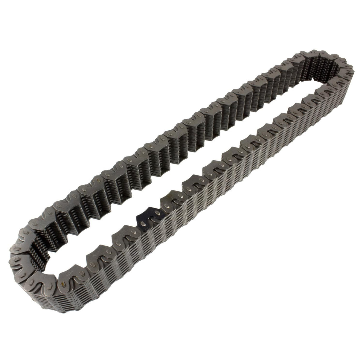BW4044/4405 CHAIN 1.25" CHAIN
