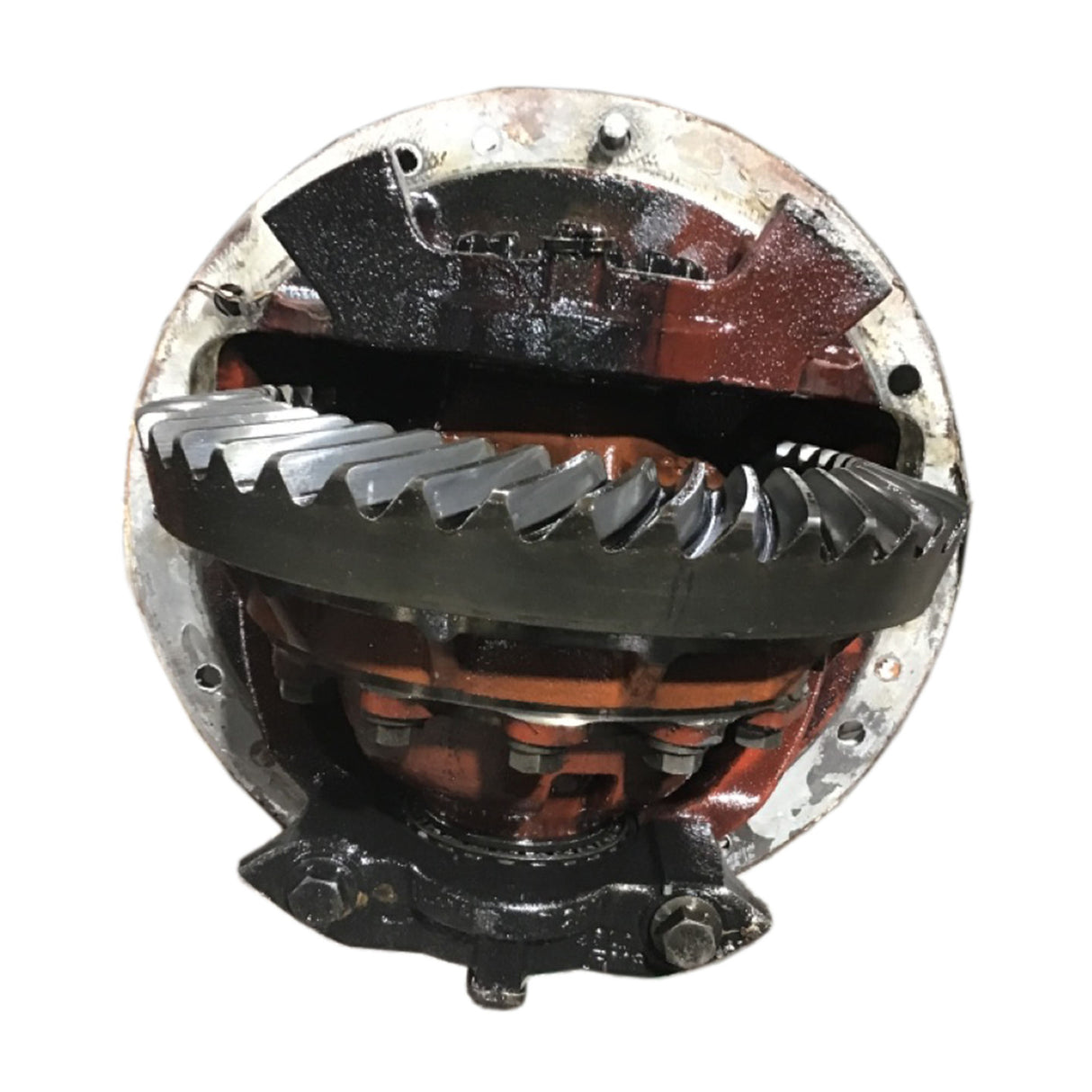 Freightliner MT55 Rockwell MS-113 Rear Differential Ratio 4.1 Used