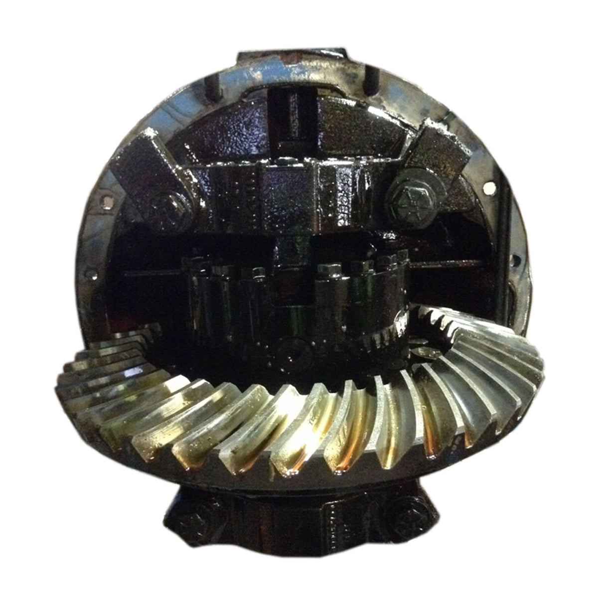 International 8100 Dana, International S230 Rear Differential Ratio 3.73 Used