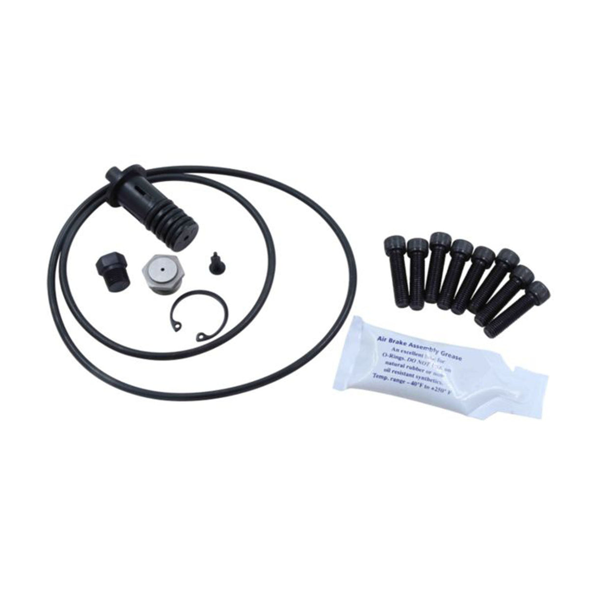 Fan Clutch Repair Kit 294205, 1118160, S-14513