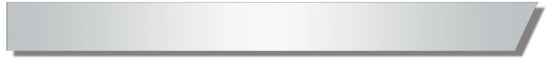 Peterbilt PB CAB PANELS - 1987 & NEWER - 389 - STANDARD - BLANK - PR - 44.38" long
