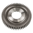 GEAR-MAINSHAFT