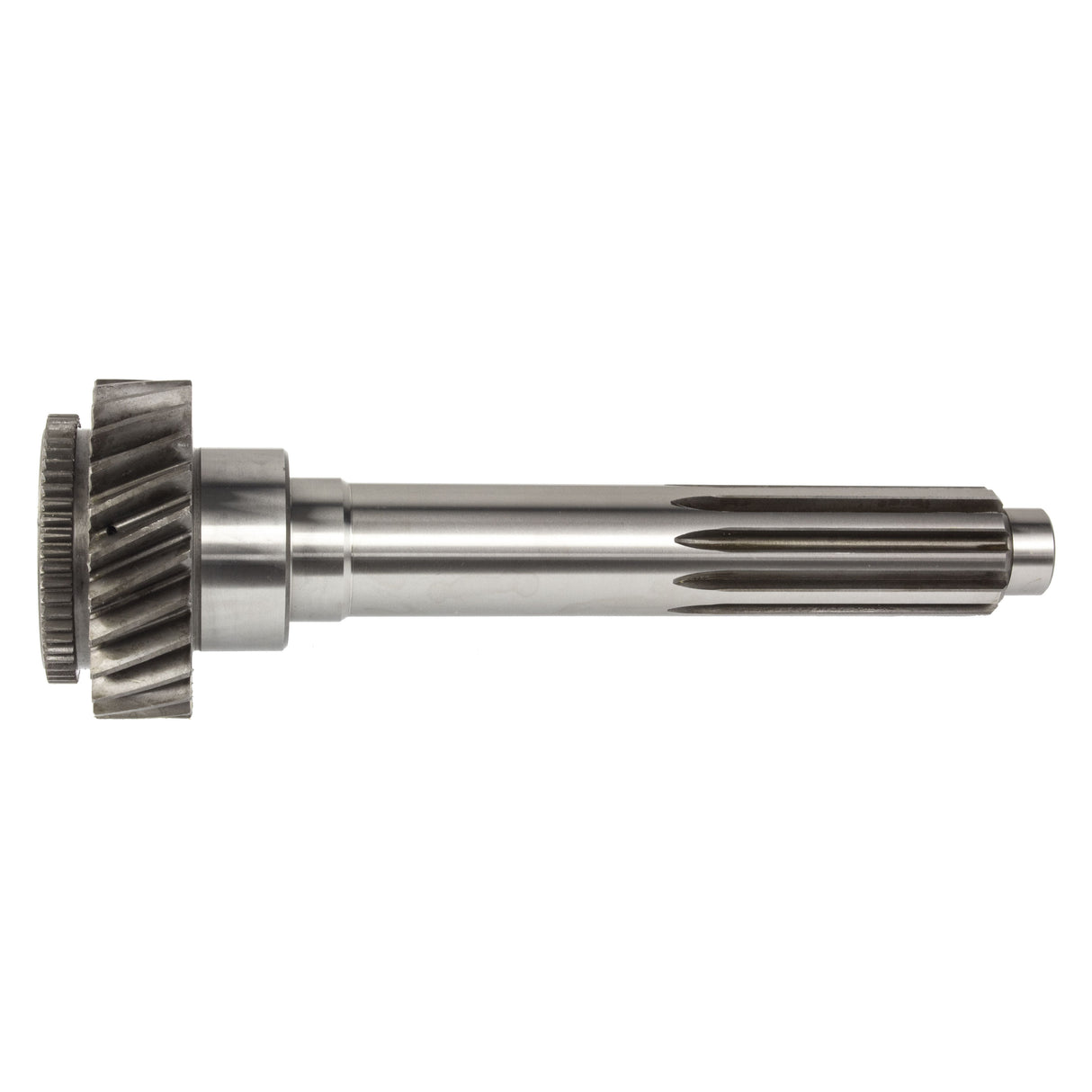 SPIGOT