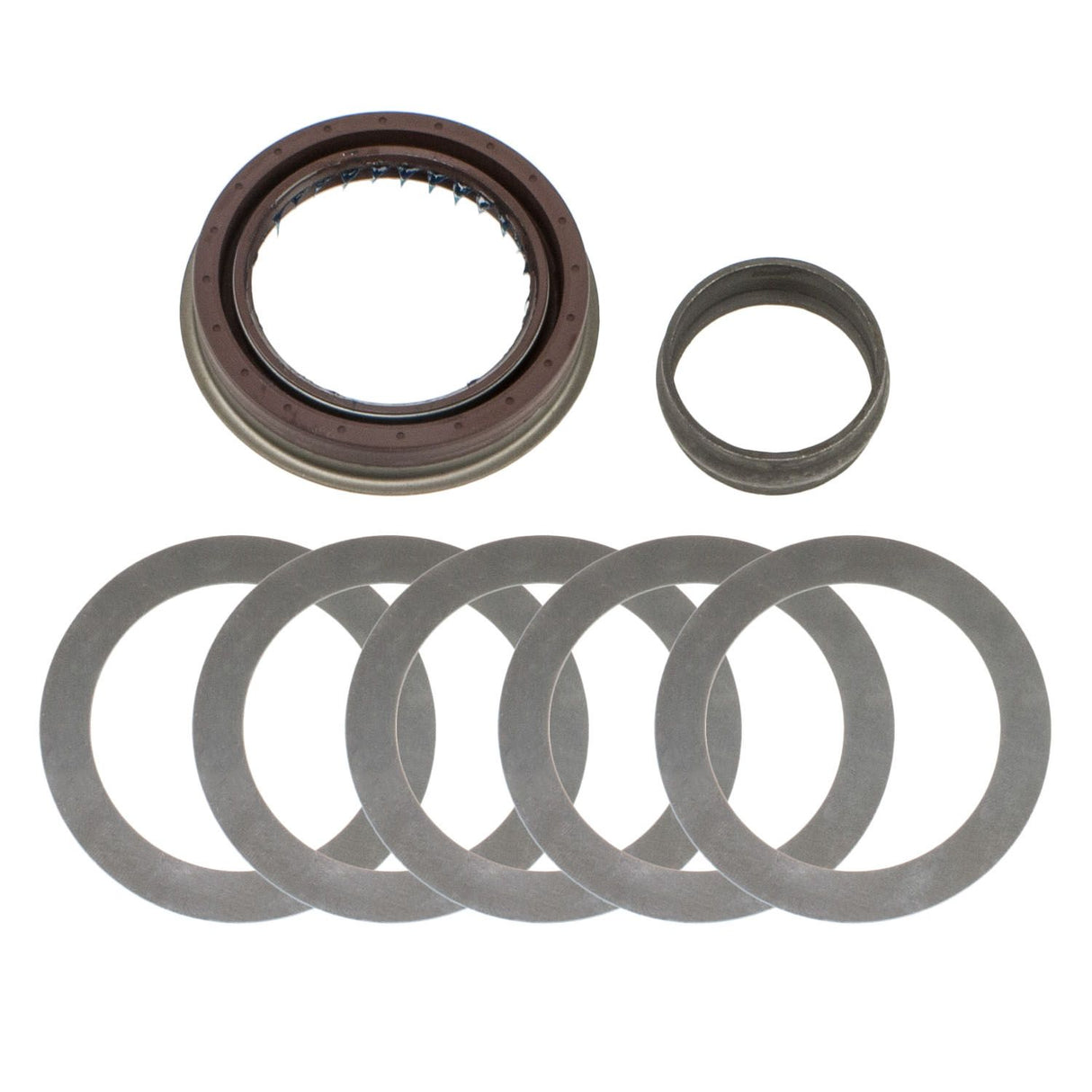 Rear Mini Kit for a GM 8.6" IRS Differential