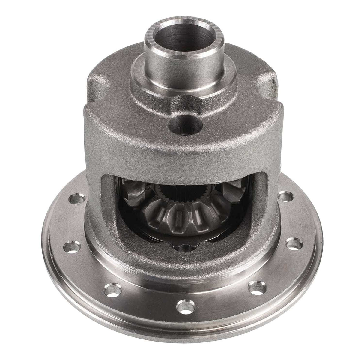 TRAC LOK Chrysler 8.25" 29 SPLINE