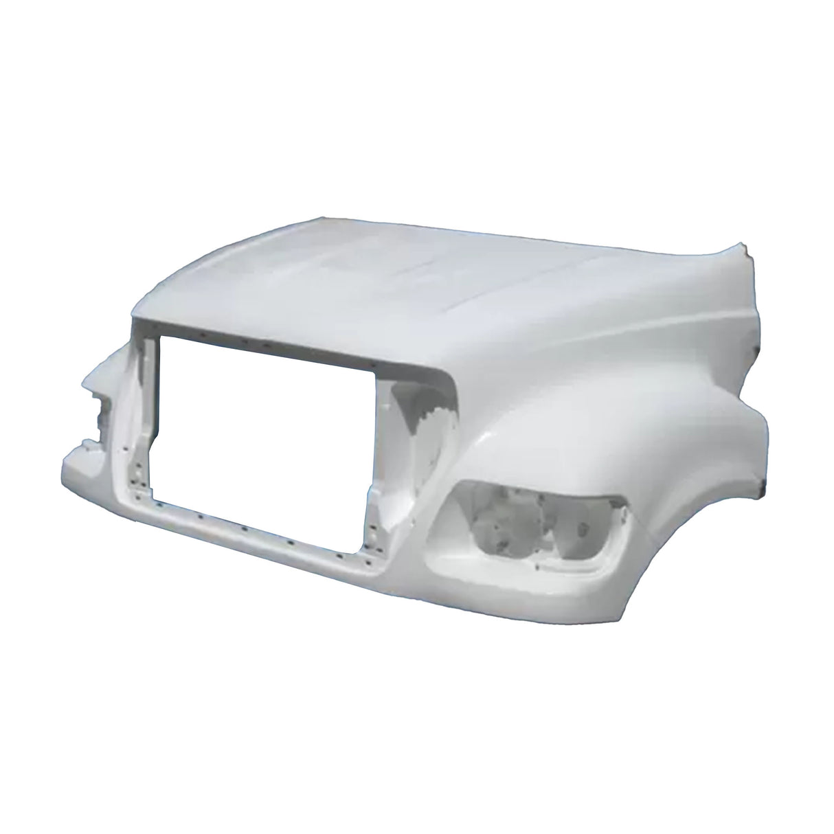 Ford F Series Hood 2000 - 2003 F81Z-16612BP, F81Z-16612BB