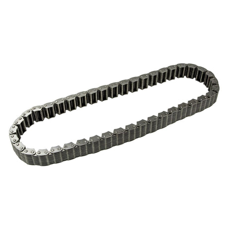 BW1345/BW1356/NP208 CHAIN FORD