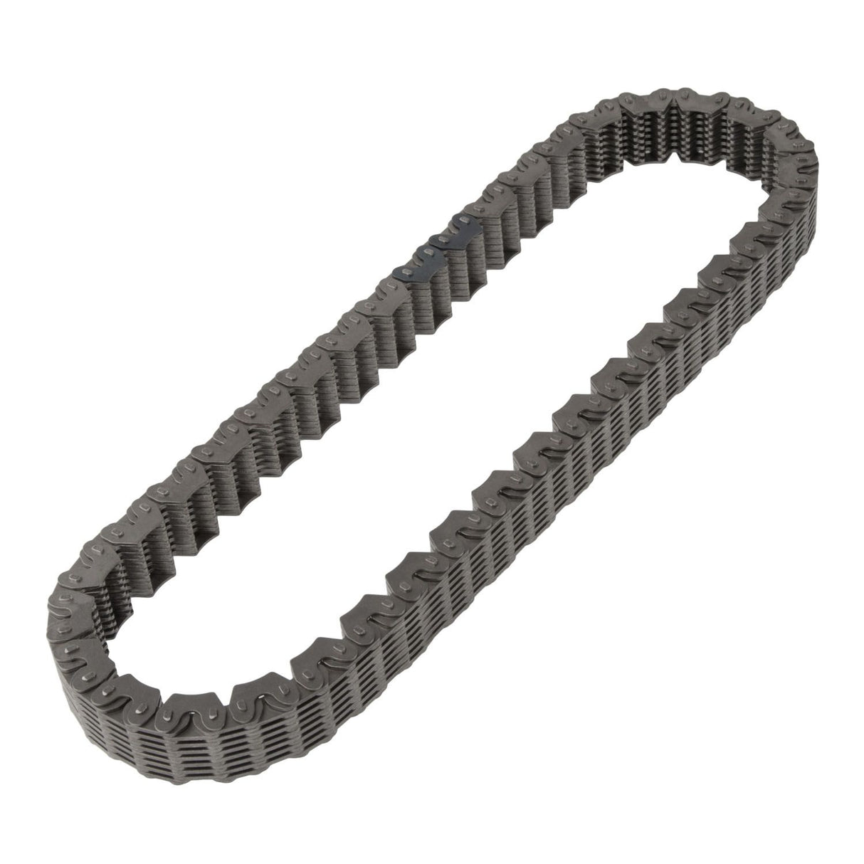 BW4405/4411 CHAIN 4.0L ONLY