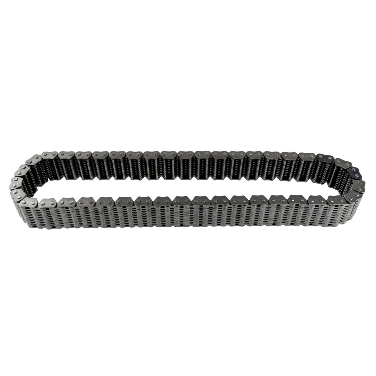 NP261/NP263XHD CHAIN 1.5" WIDE