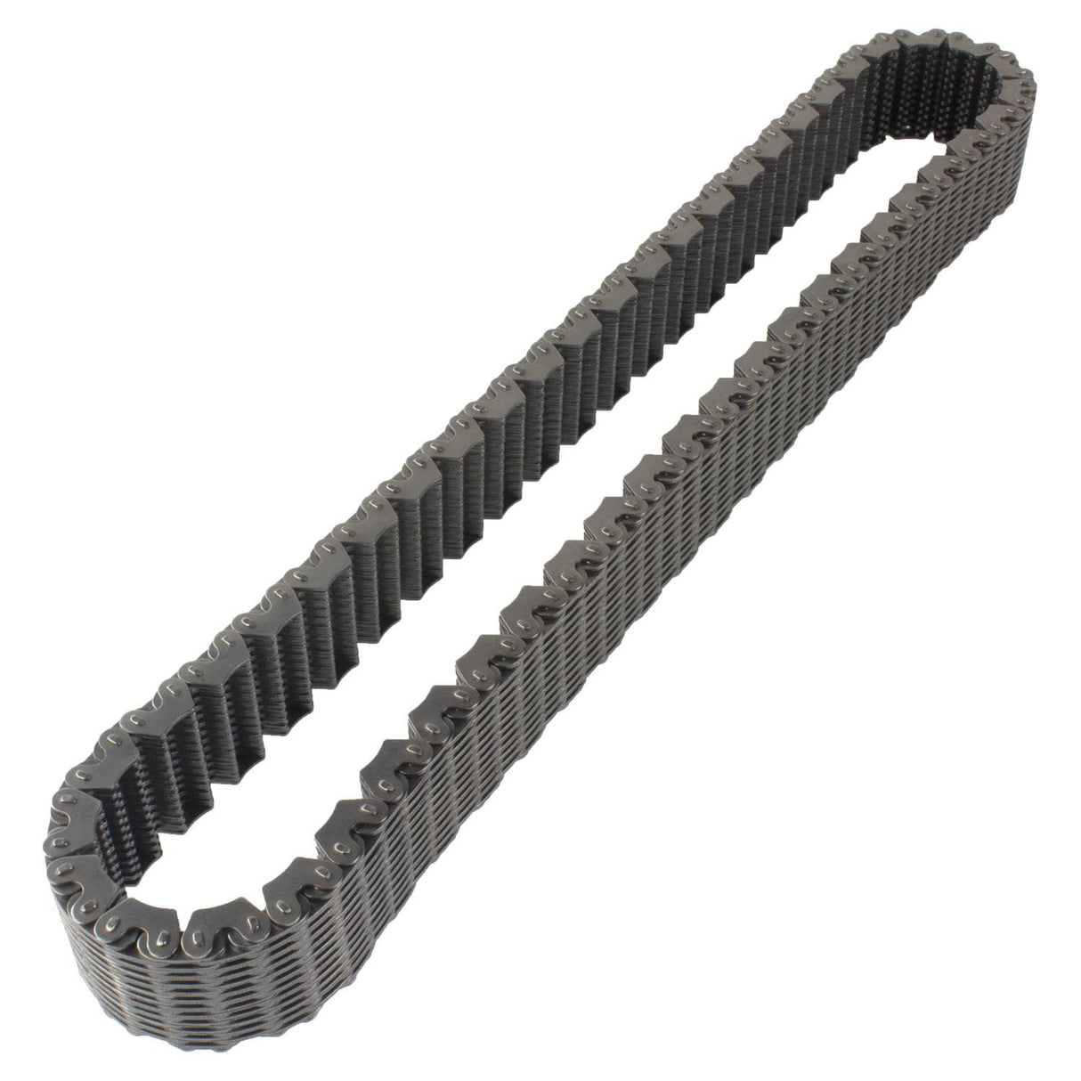 NP261/NP263HD CHAIN 1.5" WIDE