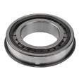 Cylindrical Bearing