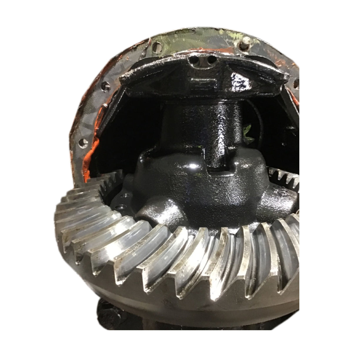 Freightliner MT55 Alliance R-13-2N Rear Differential Used