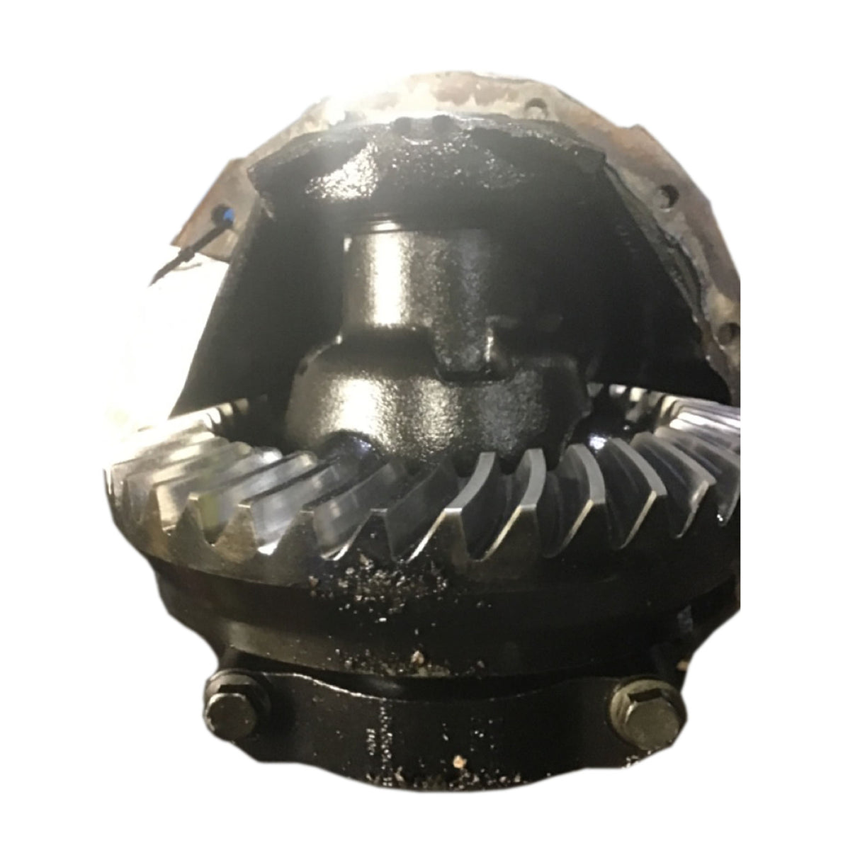 Freightliner Bus Alliance R-17-2N Rear Differential Ratio 5.13 Used