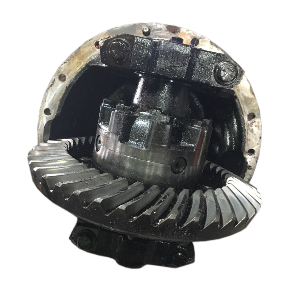 International 1552-SC Dana, International S135 Rear Differential Ratio 3.73 Used