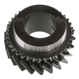 3RD GEAR 22T (S,W)
