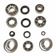 A2Q6 Bearing, Seal & Gasket Kit