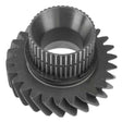 INPUT GEAR "TZ"