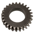 LOWER "8" RATIO GEAR