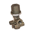 REDUCING VALVE ADJ 80PSI RV-1