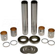 Steering King Pin Repair Kit 300-100DD 300100 300-100 460520B 460.520B