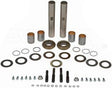 Steering King Pin Repair Kit 300-221 202480 20-2480 2621558 262-1558