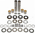 Steering King Pin Repair Kit 300-233 202520 20-2520 2621582 262-1582