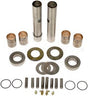 Steering King Pin Repair Kit 300-248 202430 20-2430 2621579 262-1579