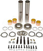 Steering King Pin Repair Kit 300-266 1665531C91 202601 20-2601 2505492C91
